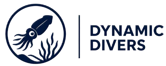 dynamicdivers